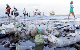 Việt Nam lần đầu tiên làm được điều chưa từng có: ‘Chữa lành’ đại dương