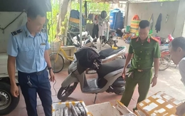 Thanh Hóa phát hiện cơ sở kinh doanh thực phẩm là côn trùng bốc mùi