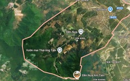 Chuyển đổi 44 ha rừng để thực hiện dự án tâm linh 35.000 tỉ đồng, có tượng Phật cao nhất thế giới