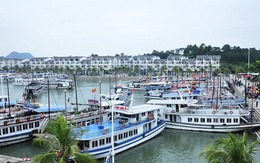 Quảng Ninh tạm ngừng cấp phép các hoạt động tham quan, lưu trú trên vịnh Hạ Long