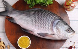 5 bộ phận của cá không nên ăn: Cái cuối cực độc nhưng nhiều người tưởng bổ
