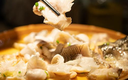 2 loại cá không nên ăn nhiều kẻo nạp toàn thuốc kháng sinh, kim loại nặng vào người