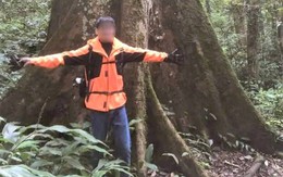 Người mẹ đau buồn chia sẻ sau khi tìm thấy thi thể con trai lạc trong rừng Cúc Phương