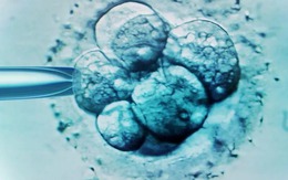 Kỳ tích y học: Bé trai chào đời từ phôi thai trữ đông suốt hơn 30 năm