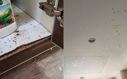 9 thiết kế bếp cần bị cạch mặt vì "hành hạ" người dùng