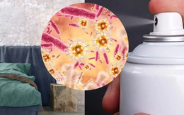 Bác sĩ Harvard chỉ mặt 3 “vật độc” trong phòng ngủ mà nhà nào cũng có