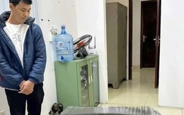 Diễn biến vụ lĩnh 6 năm tù vì nuôi bán 13 con gà lôi trắng sẽ ra sao?