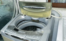 Nên mở hay đóng cửa máy giặt khi không dùng: Hóa ra bấy lâu nay nhiều người vẫn hiểu lầm