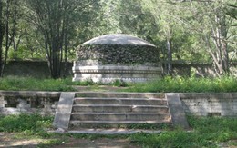 Bí ẩn cây bạch quả trấn giữ mộ cha, ông của 2 vị hoàng đế: Từ Hi kinh hãi tự tay chặt bỏ