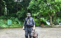 Ninh Bình 'siết' du lịch mạo hiểm sau vụ du khách tử vong trong rừng Cúc Phương