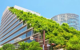 Ấn tượng doanh nghiệp mục tiêu xanh