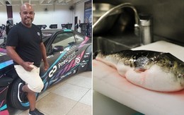 Người đàn ông tử vong sau khi ăn cá: Loại cá này chứa độc tố mạnh gấp 1000 lần xyanua, chớ nên ăn