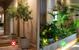 Ông bà bảo: "Khí tốt thì người vượng, cửa sạch thì nhà hưng" - 3 dấu hiệu vàng ròng cho thấy ngôi nhà tụ phúc