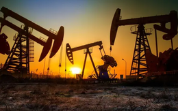 Bị Mỹ áp thuế, Ấn Độ bất ngờ tìm ra cách 'lách luật' để mua dầu Nga, chuyên gia khẳng định: vẫn đang nhận nguồn cung ổn định