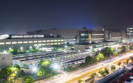 Samsung Việt Nam dưới thời giám đốc mới: Tăng trưởng cả doanh thu và lợi nhuận trong quý 2 năm nay, 4 nhà máy lãi 32.300 tỷ đồng