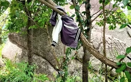 Lấy mẫu xương, quần áo để truy tìm tung tích nạn nhân vụ phát hiện bộ xương dưới gốc cây