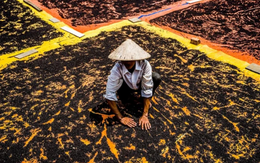 Hơn 100 quốc gia tranh nhau mua, "vàng đen" của Việt Nam thống lĩnh thị trường Mỹ