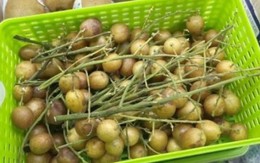 Quả có hạt ở Việt Nam, ở nước ngoài bán loại không hạt đắt gấp 14 lần