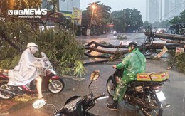 Chuyên gia: Bão số 5 Kajiki mạnh lên cấp 14, có thể tương đương bão Yagi khi đổ bộ