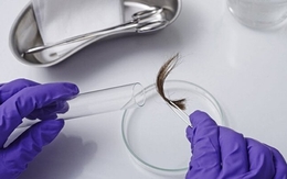 Phát hiện vợ ngoại tình, người đàn ông run rẩy đi xét nghiệm ADN với con trai: Òa khóc khi nhận kết quả