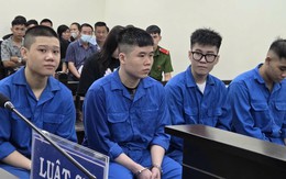 Từ gói hàng cấm trong chậu cây cảnh, 5 người phải trả giá