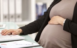 Nhân viên mới đi làm 12 ngày thông báo mang thai, xin nghỉ ốm, sếp từ chối rồi cho nghỉ việc: Tòa khẳng định công ty làm đúng nhưng vẫn phải trả đủ lương