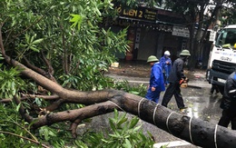 Nhà sập trong bão số 5, vợ và con gái thoát được ra ngoài, chồng bị mắc kẹt