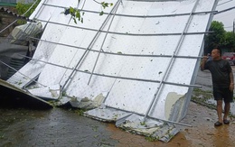 VIDEO: Hàng ngàn cây xanh, cột điện bị gãy đổ sau khi cuồng phong bão số 5 quét qua