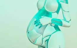 Lan truyền 'robot mang thai' được phát triển tại Trung Quốc