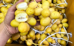 Loại quả kỳ lạ "cắn dọc thì ngọt, cắn ngang thì chát": Hóa ra là "khắc tinh" của ung thư và tiểu đường