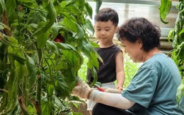 Ông bà có 3 điểm này con cháu vừa sinh ra đã đứng sẵn ở "vạch đích"