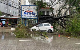 Tan hoang sau bão số 5: Cây cối ngã rạp, nhà cửa tốc mái, ngập lũ chia cắt