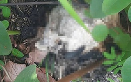 Thông tin mới nhất về bộ xương người trên núi Gia Lai