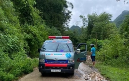 Bé 4 tuổi tử vong nghi mắc bệnh dại sau khi chó hàng xóm ốm chết