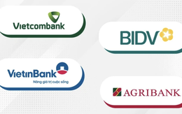 Điểm danh 18 ngân hàng từ Big 4 đến tư nhân đã có mặt trong VNeID để người dân nhận hỗ trợ an sinh xã hội
