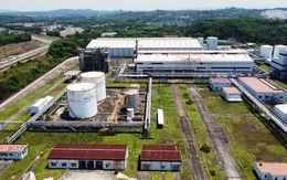 Triển khai xăng E10: Canh bạc mạo hiểm với các dự án ethanol ‘đắp chiếu’?