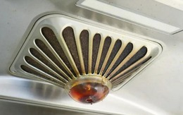 Thật đáng tiếc: 80% người dùng máy hút mùi "sai bét", tự tay biến đồ tốt thành phế phẩm!