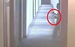 Bố lấy trộm chai nước trong khách sạn, con trả giá bằng mạng sống: Bài học về lòng trung thực và sự cẩn trọng