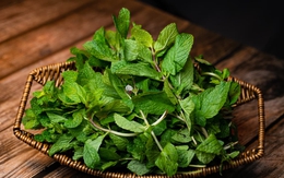 Loại lá chống rụng tóc mạnh mẽ, dưỡng chân tóc chắc khỏe: Biết dùng còn tốt cho tiêu hóa, đánh bay stress