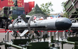 Tên lửa đối hạm Sông Hồng 'made by Vietnam' tại sự kiện quy tụ 230.000 người: Tốc độ cận âm, tầm bắn 80km