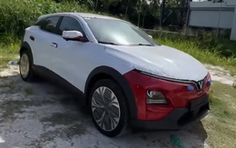 Chưa khai trương, dân Ấn Độ vẫn ào tới các showroom VinFast, sôi sục chờ một thông tin