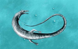 “Rồng quái vật” sơ sinh lộ diện ở Đức