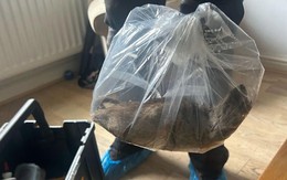 Bàng hoàng bắt được con chuột khổng lồ dài tới hơn 55cm