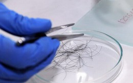 Sau chuyến du lịch, bố nhất quyết đưa con trai đi xét nghiệm ADN: Xấu hổ tột cùng khi nhận kết quả