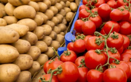 Bí mật 9 triệu năm: Khoai tây bắt nguồn từ cà chua và cây không củ ở Andes