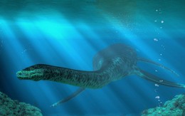 Phát hiện quái vật biển 183 triệu năm tuổi 'ẩn náu' trong lớp hóa thạch