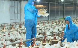 Kế hoạch bứt phá của Tây Ninh