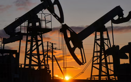 Sau Nga, thêm một vựa dầu cũng đang bị Mỹ ‘làm khó’: 95% sản lượng xuất sang Trung Quốc, xuất khẩu giảm 10% chỉ trong 1 tháng