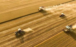 Phát hiện loạt cỗ máy không buồng lái, không người lái, khai thác liên tục trên những cánh đồng, khiến GenZ cũng phải bỏ phố về quê