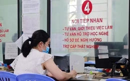 Sắp cắt trợ cấp thất nghiệp 13 trường hợp